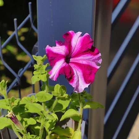 Apartman Ozimice 2 Bihać Esterno foto